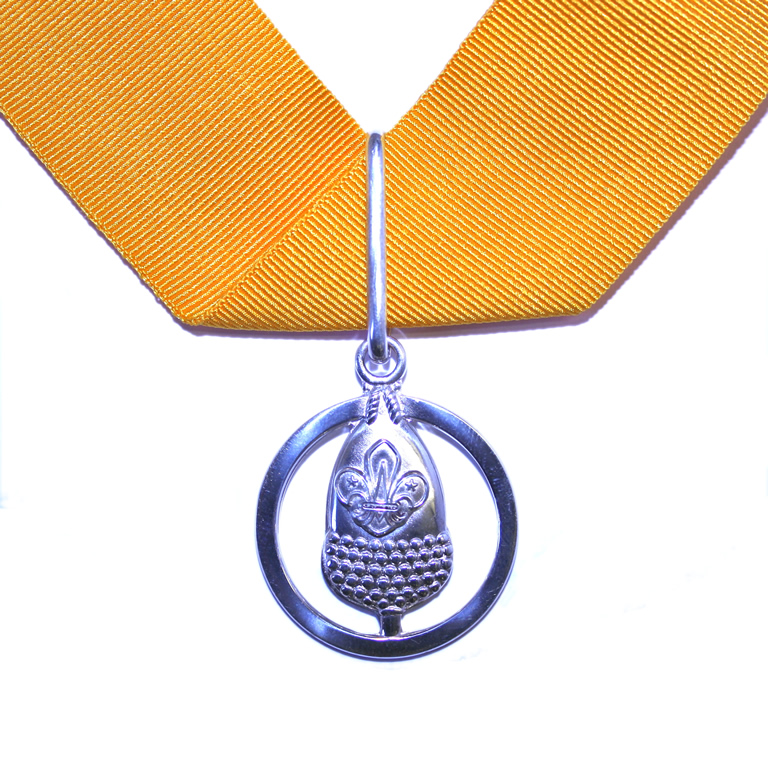 silver acorn medal