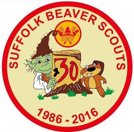 Beaver30