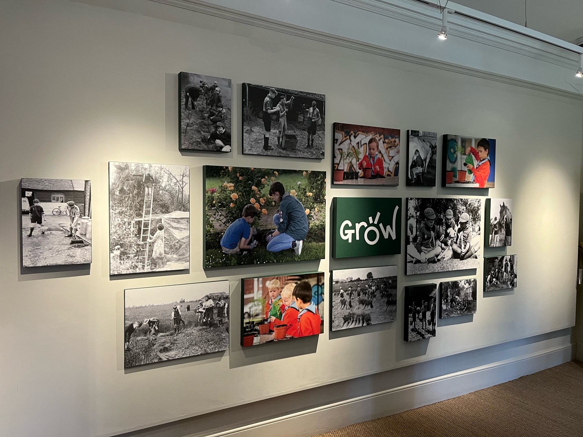 Growing Up, Digging Deep: the story of Scouts, Food and Farming