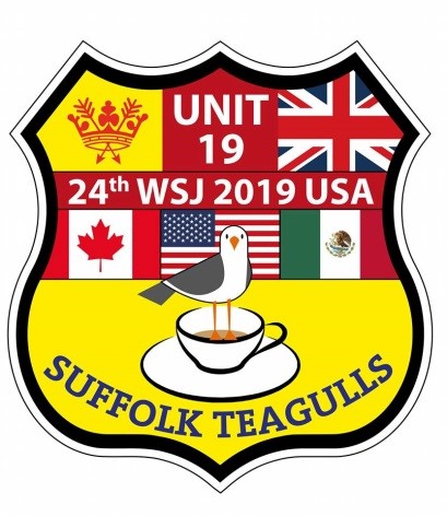 Teagulls